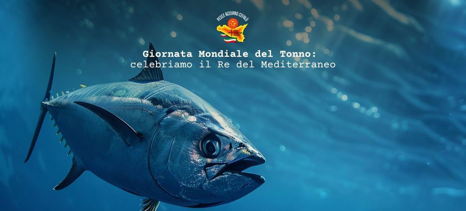 Giornata Mondiale del Tonno: celebriamo il Re del Mediterraneo